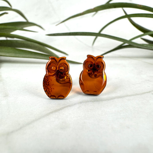 Bernstein Ohrstecker Eule 10BE