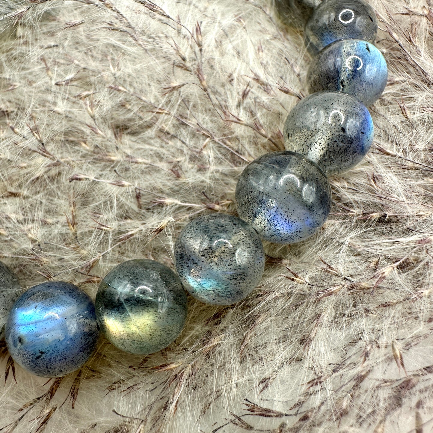 Armband Labradorit AAA (AE094)